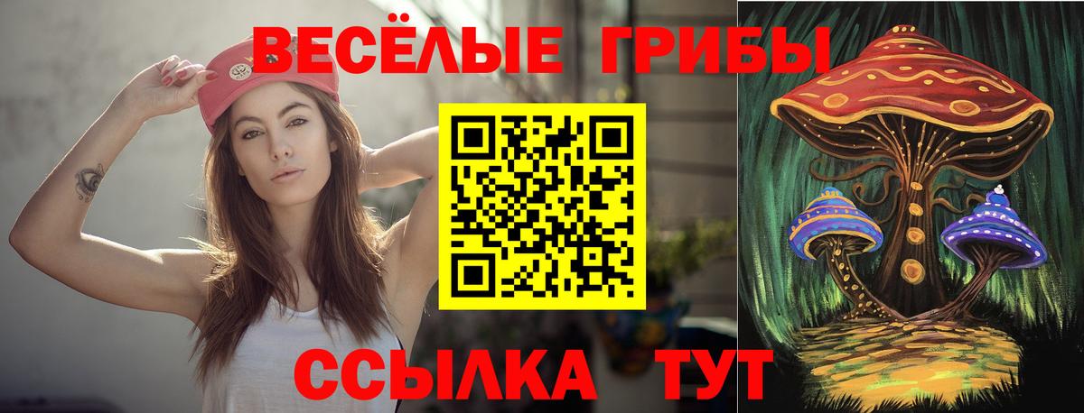 Новоалтайск  Галлюциногенные грибы Psilocybine cubensis  Вход с VPN 